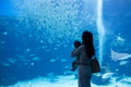 Mother and baby watch fish in aquarium tank - PhotoDune Item for Sale