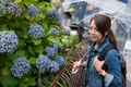Young woman enjoying rainy day with umbrella near blooming hydrangea garden - PhotoDune Item for Sale