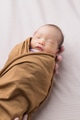 Newborn baby sleeping in brown swaddle blanket - PhotoDune Item for Sale