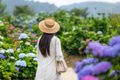 Tourist woman in the hydrangea garden - PhotoDune Item for Sale