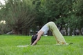 Sport woman practicing downward dog pose in park - PhotoDune Item for Sale