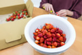 Preparing strawberry by removing green calyx - PhotoDune Item for Sale