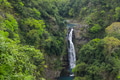 Nature waterfall in beautiful green forest landscape - PhotoDune Item for Sale