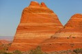 South coyote - PhotoDune Item for Sale