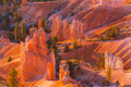 Bryce - PhotoDune Item for Sale