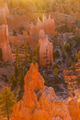 Bryce - PhotoDune Item for Sale