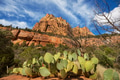 Zion - PhotoDune Item for Sale