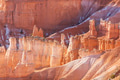 Bryce - PhotoDune Item for Sale