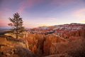 Winter in Bryce - PhotoDune Item for Sale