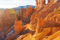 Hike in Bryce - PhotoDune Item for Sale