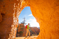 Hike in Bryce - PhotoDune Item for Sale