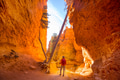 Hike in Bryce - PhotoDune Item for Sale