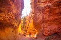 Hike in Bryce - PhotoDune Item for Sale