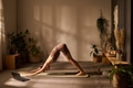 Young Adult Caucasian Woman Practicing Yoga Posing on Mat during Online Class - PhotoDune Item for Sale