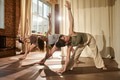 Group of Young Adult Women Practicing Yoga Together in Sunlit Studio - PhotoDune Item for Sale