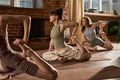 Group of Young Adult Caucasian Women Practicing Yoga Poses in Studio - PhotoDune Item for Sale