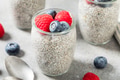 Sweet Healthy Chia Seed Pudding - PhotoDune Item for Sale