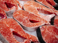 Fresh raw salmon steaks on display, bright orange fish meat with marble texture and skin - PhotoDune Item for Sale