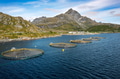 Farm salmon fishing in Norway. Norway is the biggest producer of farmed salmon in the world. - PhotoDune Item for Sale