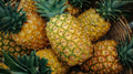 Fresh ripe pineapples with green crowns at market - PhotoDune Item for Sale