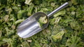 Frozen broccoli with metal scoop. - PhotoDune Item for Sale