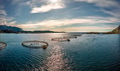 Farm salmon fishing in Norway. Norway is the biggest producer of farmed salmon in the world. - PhotoDune Item for Sale
