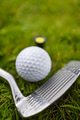 Golf ball and iron club on wet green grass. - PhotoDune Item for Sale