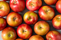Healthy Seasonal Red Mcintosh Apples - PhotoDune Item for Sale