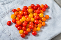 Raw Organic Multi Colored Cherry Tomatoes - PhotoDune Item for Sale