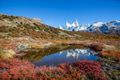 Autumn in Patagonia - PhotoDune Item for Sale