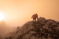 trail running couple man and woman running on a mountain path - PhotoDune Item for Sale