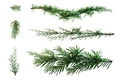 Green fir twigs isolated on white background for Christmas designs - PhotoDune Item for Sale