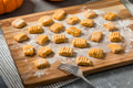 Homemade Raw Pumpkin Gnocchi Pasta - PhotoDune Item for Sale