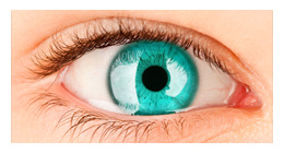 High-Resolution Retina Display Ready