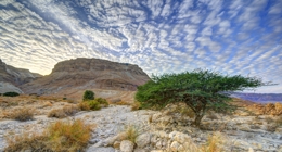 Israel