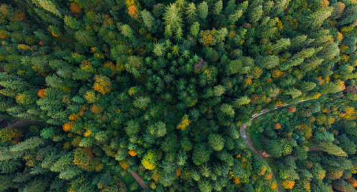 Drone shots