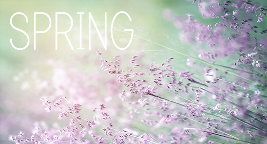 Fresh Spring Collection