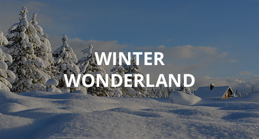 Winter wonderland